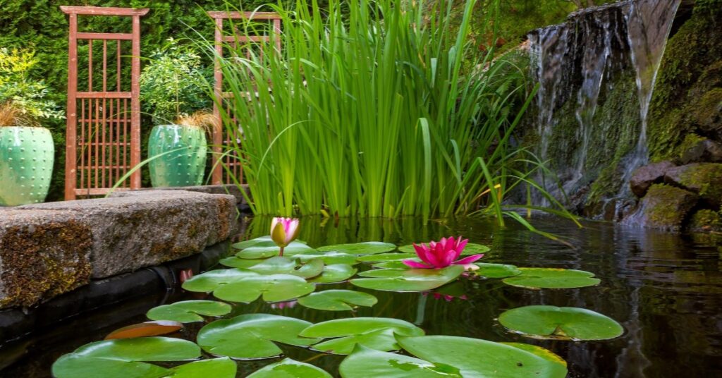 More Tips on How to Repurpose Your Backyard Swimming Pool elev8 demolition jacksonville