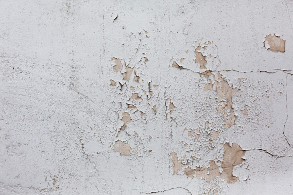 Lead Paint